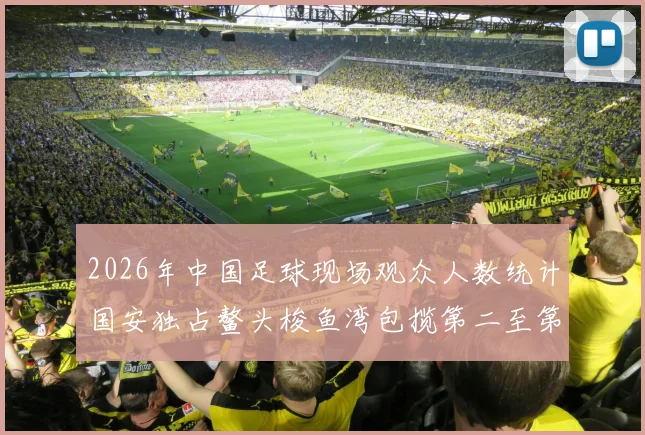 2026年中国足球现场观众人数统计国安独占鳌头梭鱼湾包揽第二至第七位